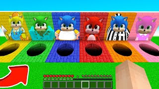 HANGİ BEBEK SONİC ÇUKURUNU SEÇMELİYİM - 😱 Minecraft