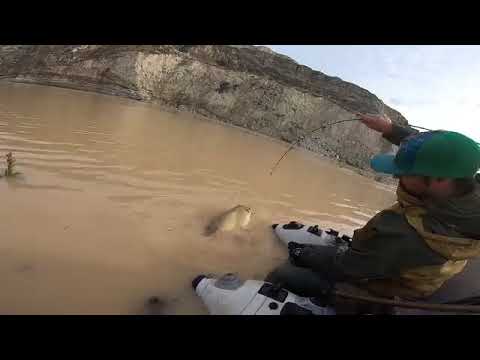 impresionante captura 😱