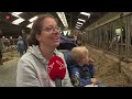 Honderden bezoekers wandelen door koeienstal