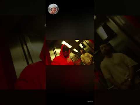 Ich reagiere auf de facto feat capital bra (ferragamo)