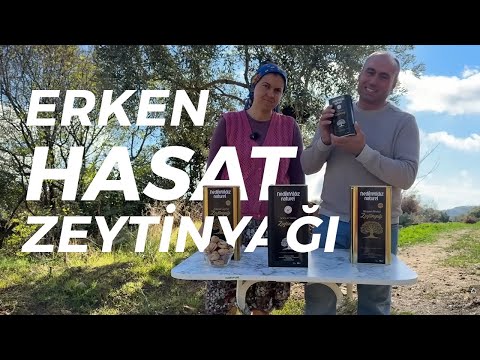 Erken Hasat Soğuk Sıkım Zeytinyağı Nedir?