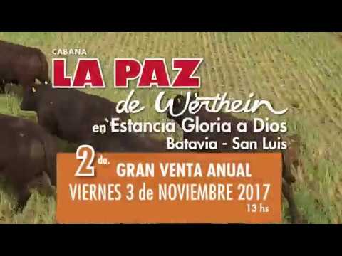 Toros de Cabaña La Paz de Werthein