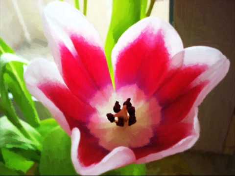 RICHARD CLAYDERMAN - Anonimo Veneziano