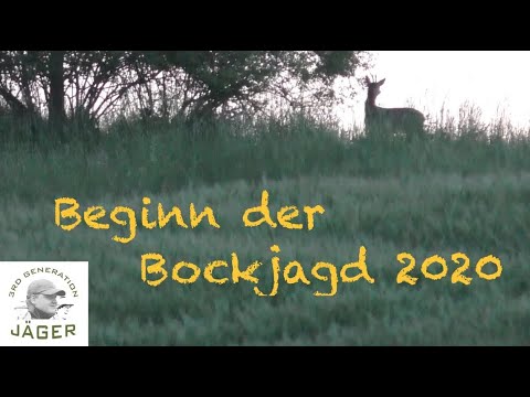 Begin Roebuck Season 2020