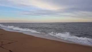 Trashcan Sinatras ~ Orange Fell