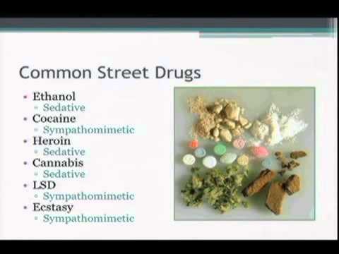 The Ohio EMS Conference  2012-05-21 Brad Raetzke Drugs on the Streets Where We Live