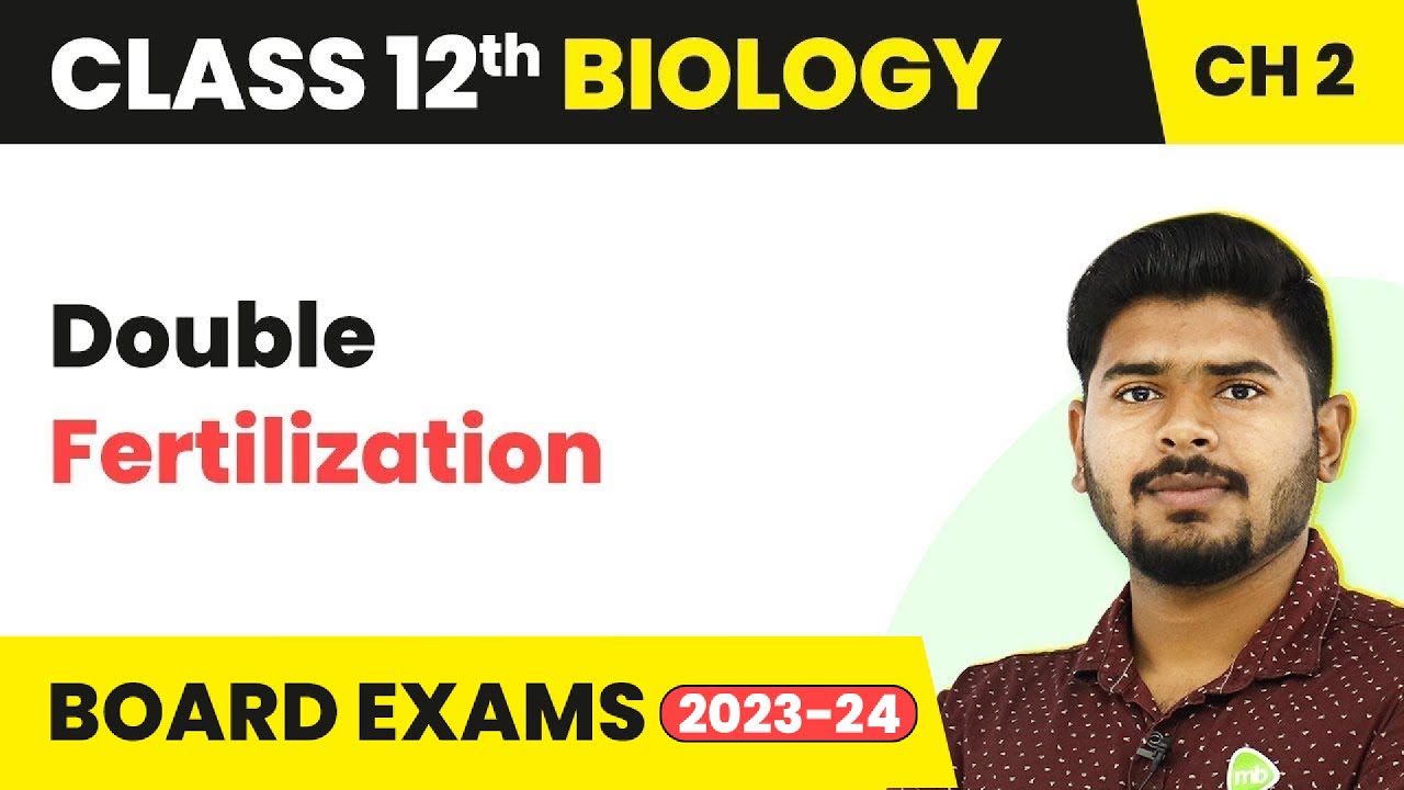 Double Fertilization - Sexual Reproduction in Flowering Plants | Class 12 Biology (2022-23)