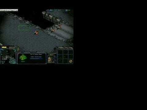 Starcraft 5min win (computer)