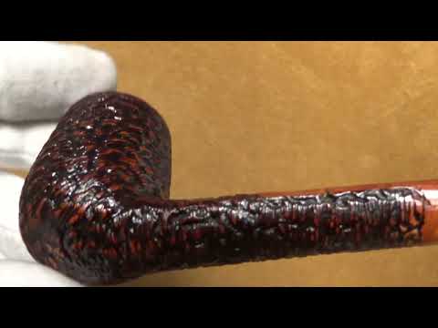 Pipa Santambrogio rusticata - Canadian - SS135