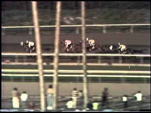 1979 Santa Anita Handicap Affirmed Wins The RARE Full Length Version
