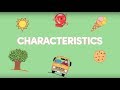 K12 Grade 1 - Science: Characteristics of the Things Around Us