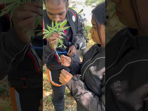 ഇവിടെ roadside വരെ ഇതാണ് 😨#malayalam #shortsvideo #duke390 #allindiaride