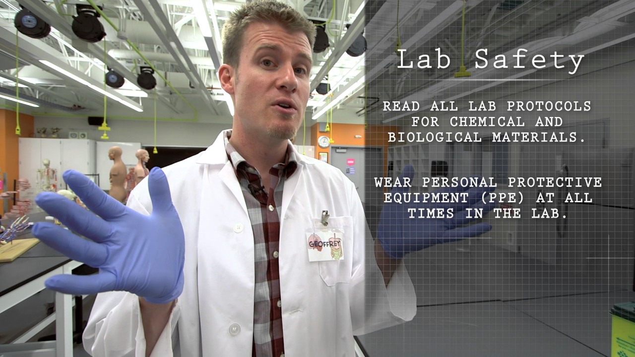 Safety In The Lab 101