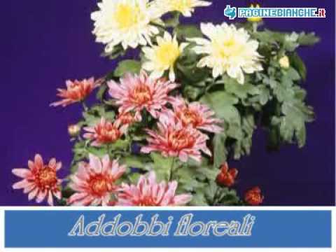 MAZZA MARIO AGENZIE FUNEBRI MONTEPARANO (TARANTO)