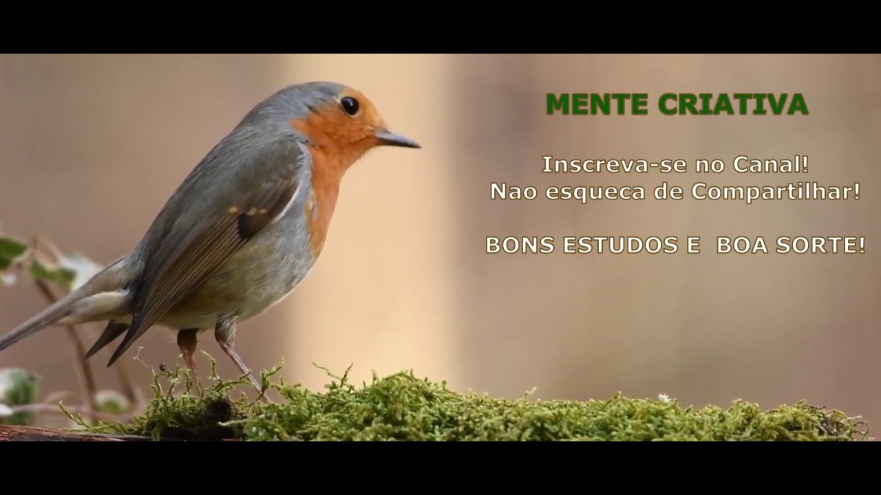 Música para passar nas Provas!⭐ Tirar nota alta!⭐Super aprendizado!⭐Batidas Binaurais Alfa ★ 1