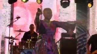 angélique kidjo @ back2black: ashè é maman afrika (no meio do público)