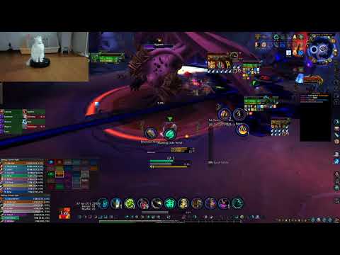 Heroic Il'gynoth, Corruption Reborn - Tank POV