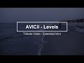 Avicii - Levels (Extended Intro - Tribute Video)