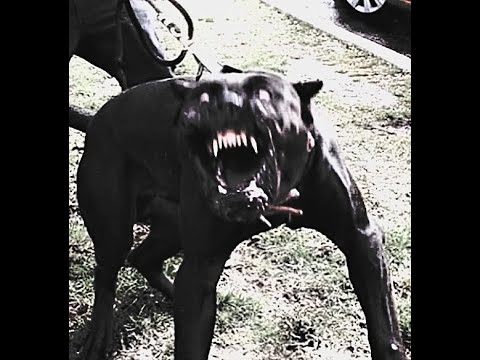 [FREE FOR PROFIT] ZILLAKAMI TYPE BEAT - "Metal" | Hard Dark Trap Metal Type Beats 2025