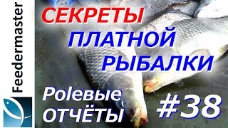 Почему плохо клюет рыба на платных прудах