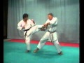 BUNKAI TEKKI NIDAN