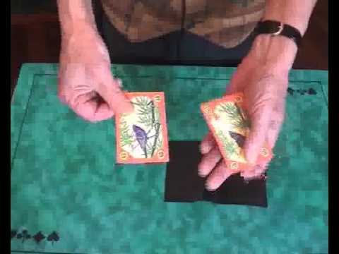 The Chinese Queens by Tonny Van Rhee