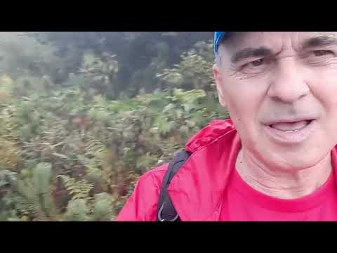 Cab.GURA DIHAM 850 m - LA PREPELEAC 1850 m - BRANA CAPRELOR - caldarea MALAIESTI - vf. OMU - 2507