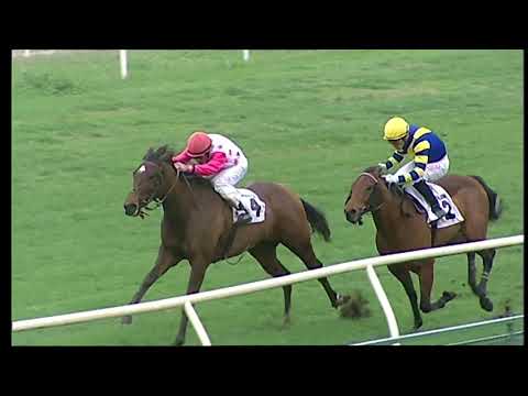 Napoli Galoppo 6/12/2021 - 1ª corsa