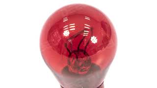 Vehicle Brake Light Bulb - PR21/5W-380R