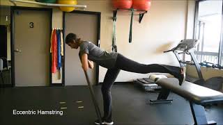 Basic Strength/Mobility Exercises