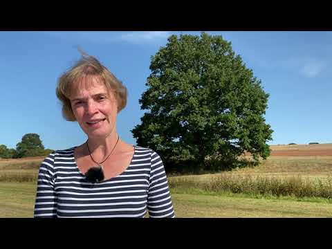 Sonntagsgedanke 20.09.2020