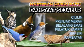 Download lagu #3 MASTERAN MURAI BATU FULL ISIAN TEMBAKAN DAHSYAT UNTUK TROTOL, PASTOL, DEWASA mp3 Download lagu #3 MASTERAN MURAI BATU FULL ISIAN TEMBAKAN DAHSYAT UNTUK TROTOL, PASTOL, DEWASA mp3