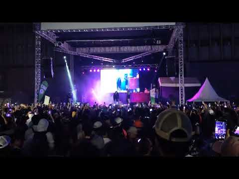 Magia negra - Métricas frías