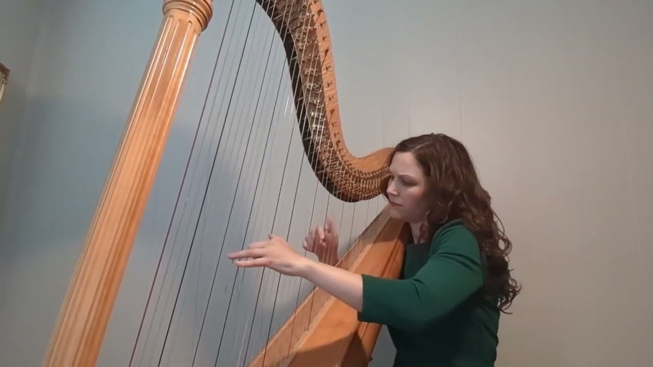 Promotional video thumbnail 3 for Katherine Kappelmann, Houston Harpist