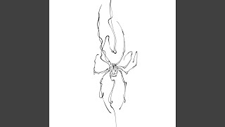 Cover art for spider