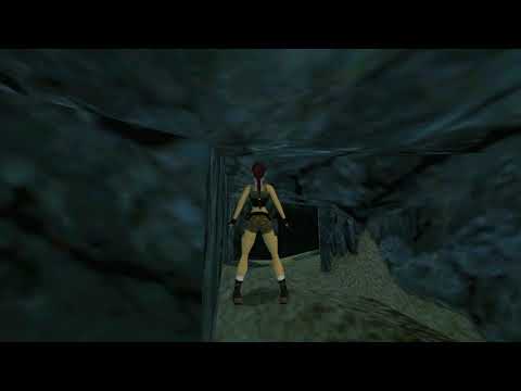 TRLE 2004.11.15 - The Lion sleeps Tonight 2