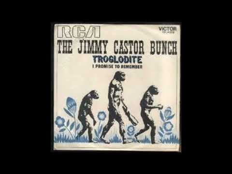 THE JIMMY CASTOR BUNCH - Troglodyte