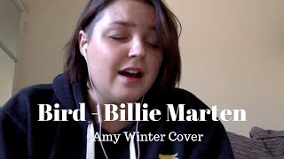 BIRD - Billie Marten | Amy Winter Cover