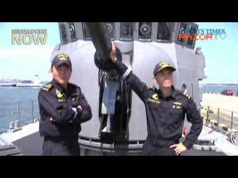 RSS Valiant awarded SAF's Best Ship