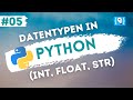 Python Tutorial deutsch [5/24] - Datentypen (int, float und str)