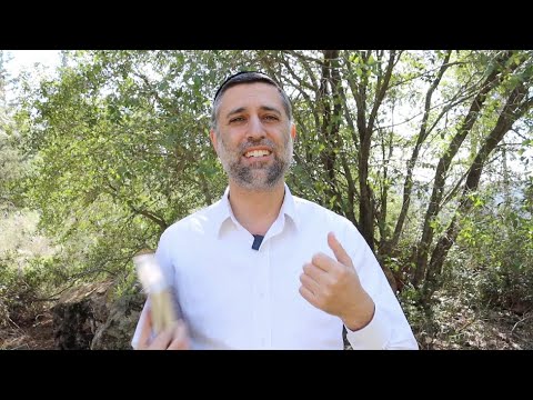 Bitachon 196 - So Fortunate to Trust II