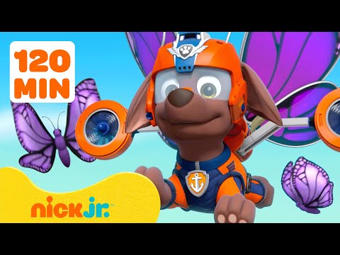 PAW Patrol Bug Rescues & Adventures! #2 🦋 2 Hours | Nick Jr.