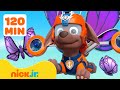 PAW Patrol Bug Rescues Adventures 2 2 Hours Nick Jr