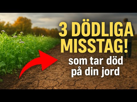 Höstens gröngödsling: 3 dödliga misstag som tar död på din jord 🌱