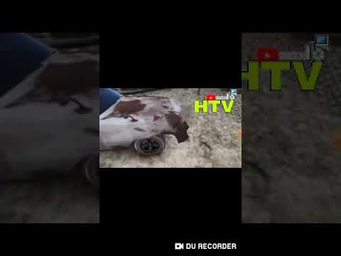 GEMBEL YANG INGGIN MENJADI ORANG SUKSES WHIZKY LANDS EPS.1