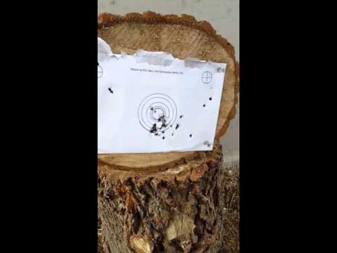 Gamo coyote tactical.