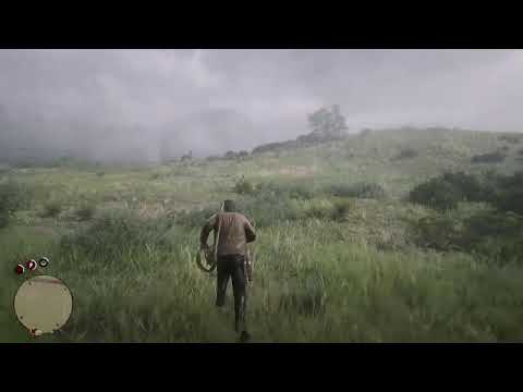 Red dead redemption 2 Story Mode playing on PS4 live Gameplay Walkthrough Part 2