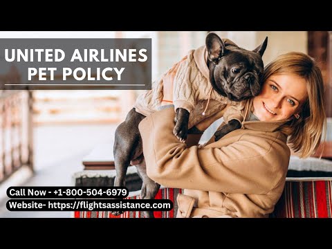 How to fly with your cat/dog on United Airlines || United Airlines Pet Policy