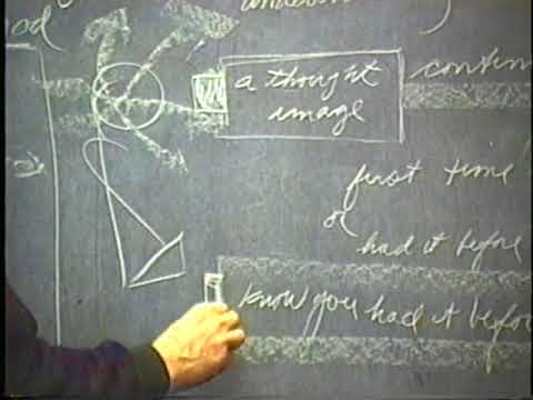 1998-02-17 NSPRS 088 - Direct Understanding and Attainment of Buddhahood