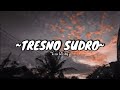 Esa Risty Tresno Sudro Abote Wong Nandang Tresno LIRIK